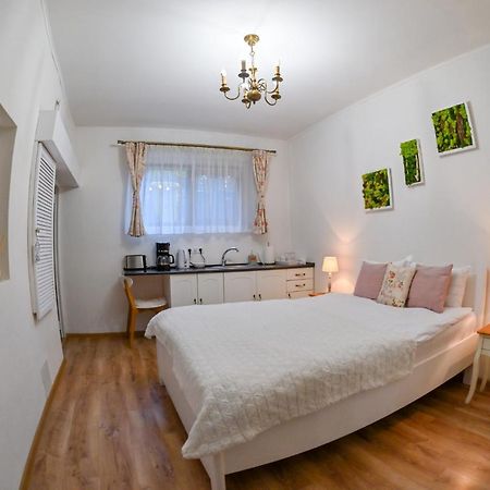 Transilvania Apartment Сібіу Екстер'єр фото