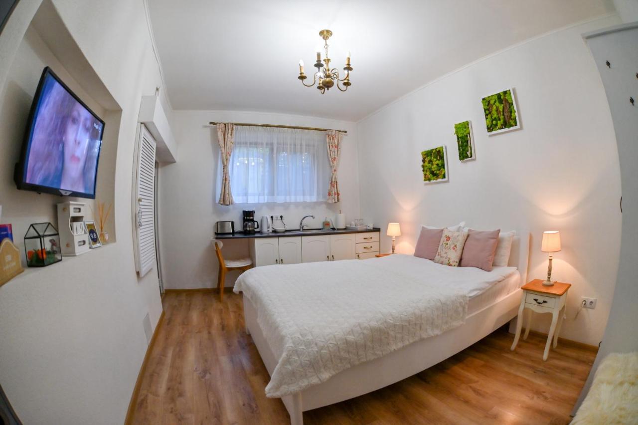 Transilvania Apartment Сібіу Екстер'єр фото
