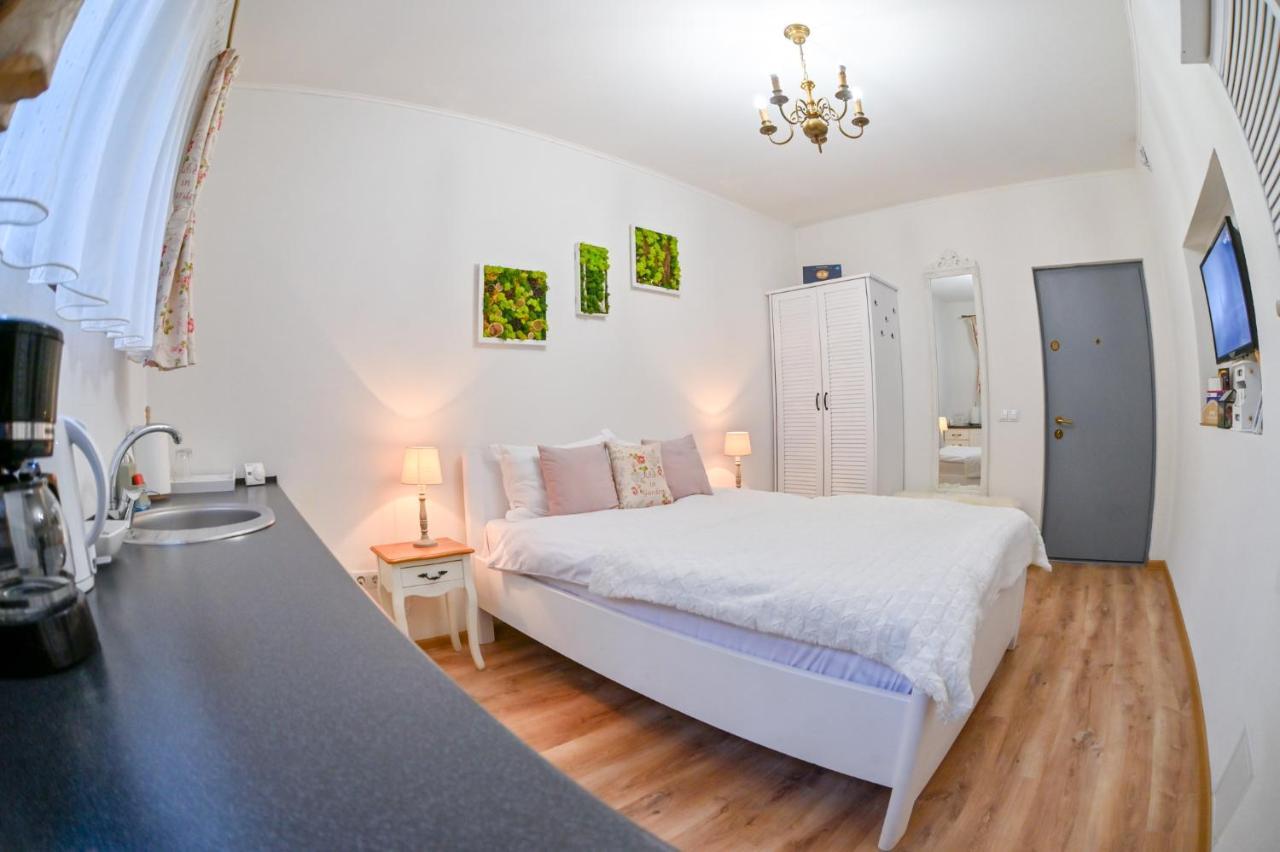 Transilvania Apartment Сібіу Екстер'єр фото